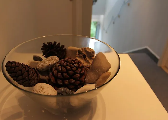 Damian B&B 로비니