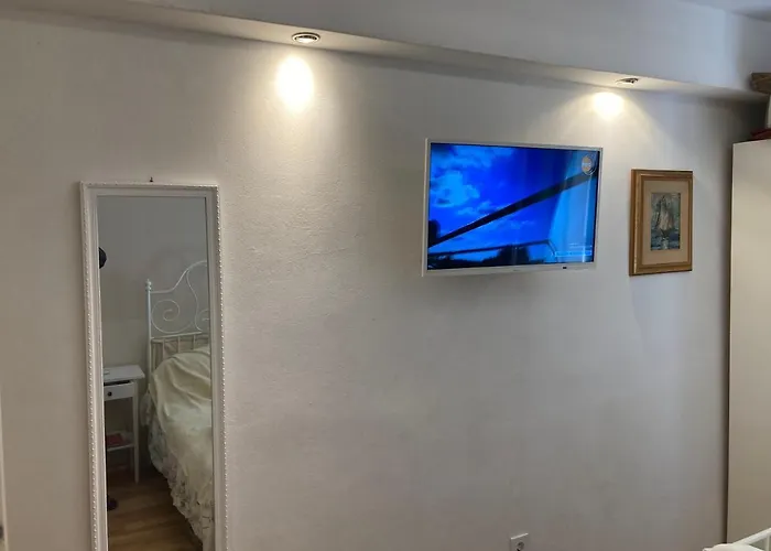 Damian B&B 로비니