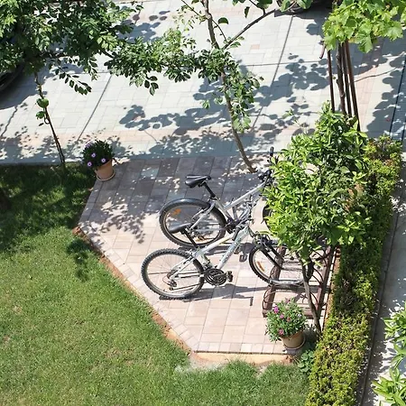 B&B Damian Bed & Breakfast 3*