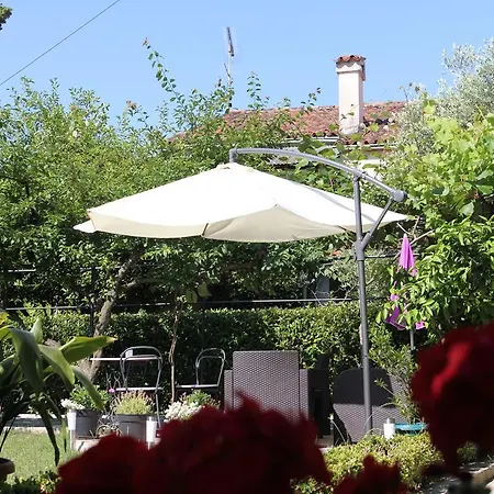 Bed & Breakfast B&B Damian 3*