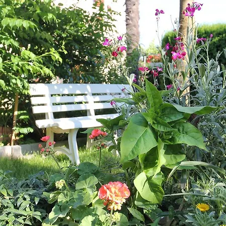 Frühstückspension Damian