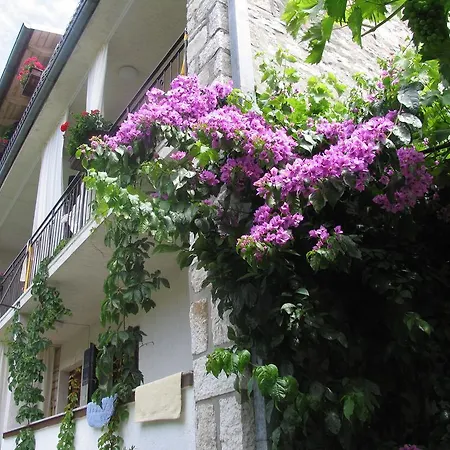 B&B Damian Bed & Breakfast