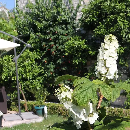 B&B Damian Bed & Breakfast